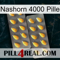 Rhino 4000 Pill cialis2